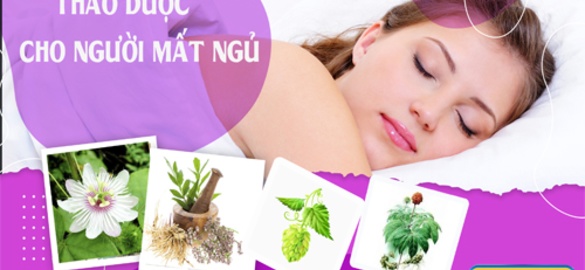 THẢO DƯỢC DÀNH CHO NGƯỜI MẤT NGỦ TIN DÙNG TẠI CHÂU ÂU