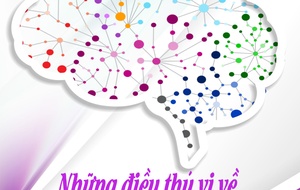 10 điều thú vị về não bộ